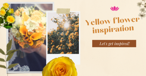 Blog banner
