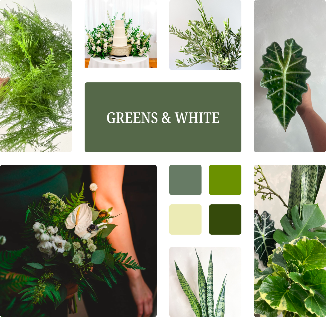 Greens & White