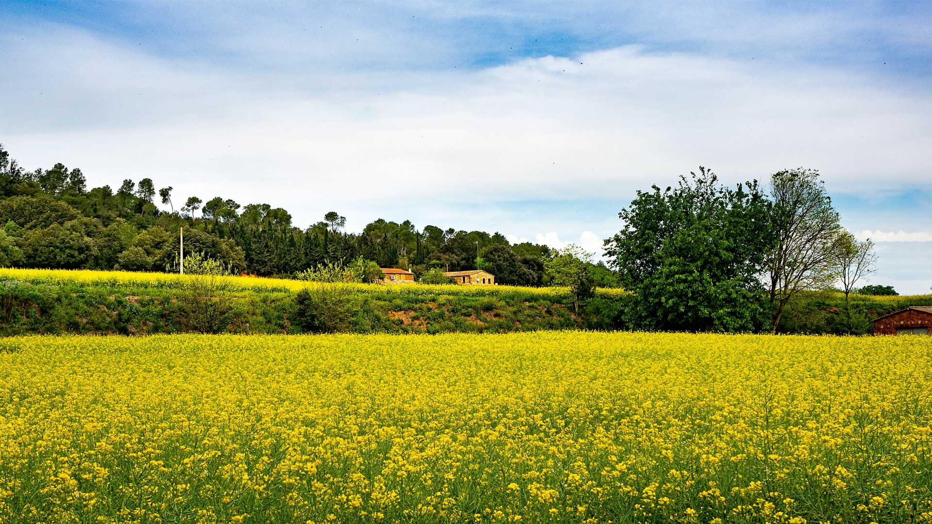 farms