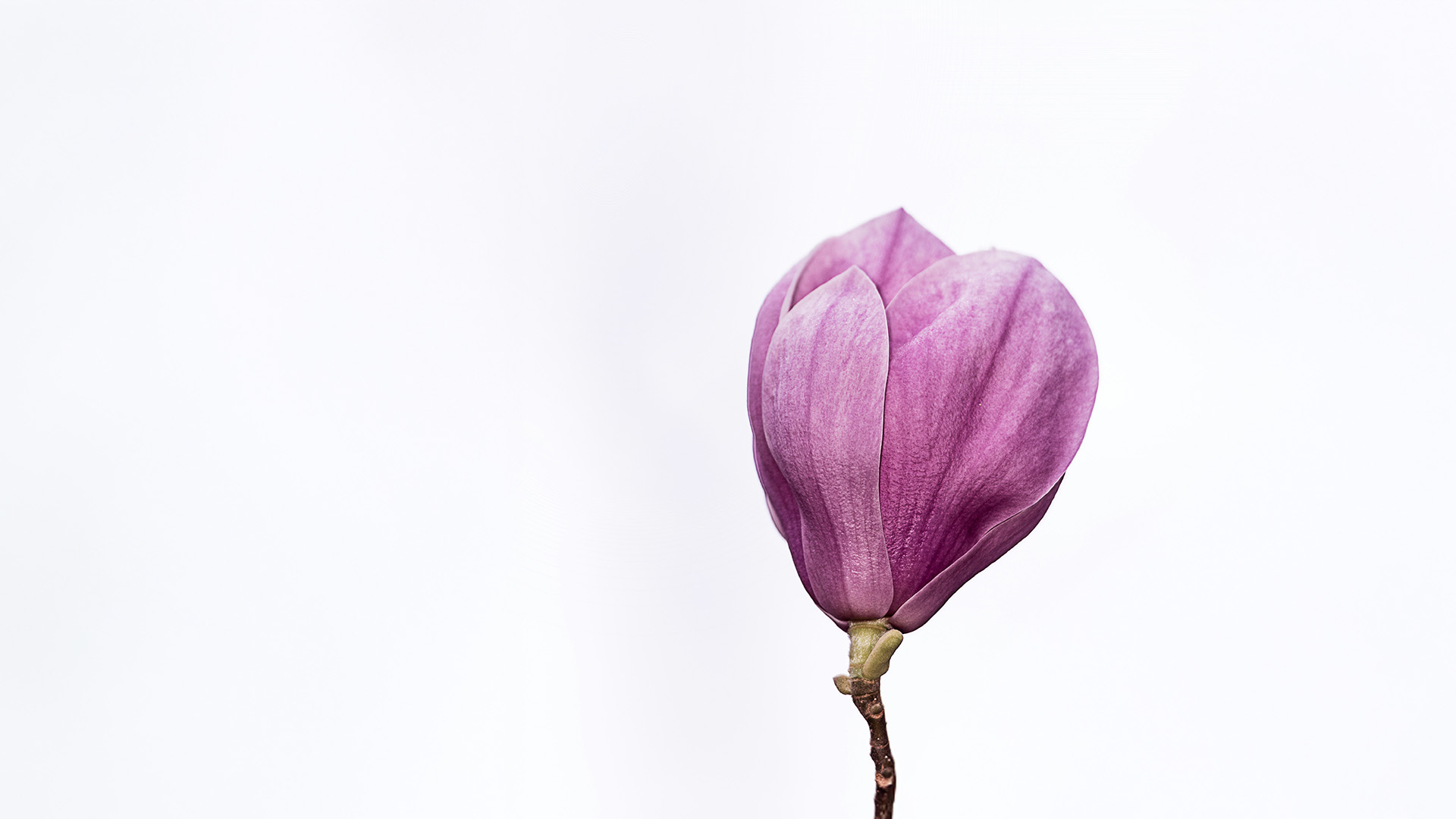 terms-and-conditions