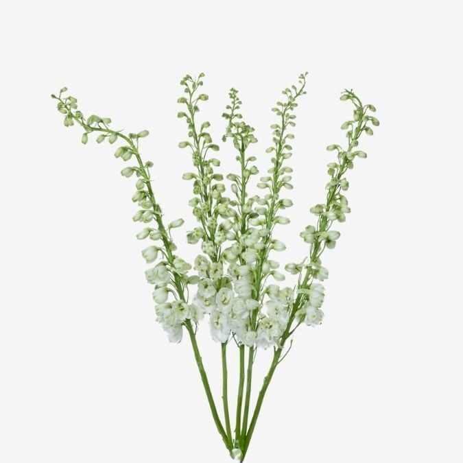 Hybrid White