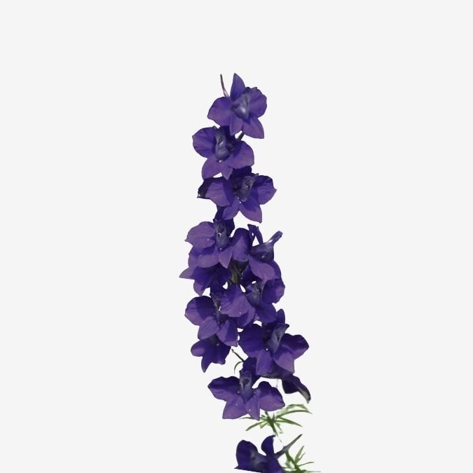 Blue Spire