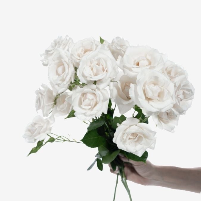 White Majolika