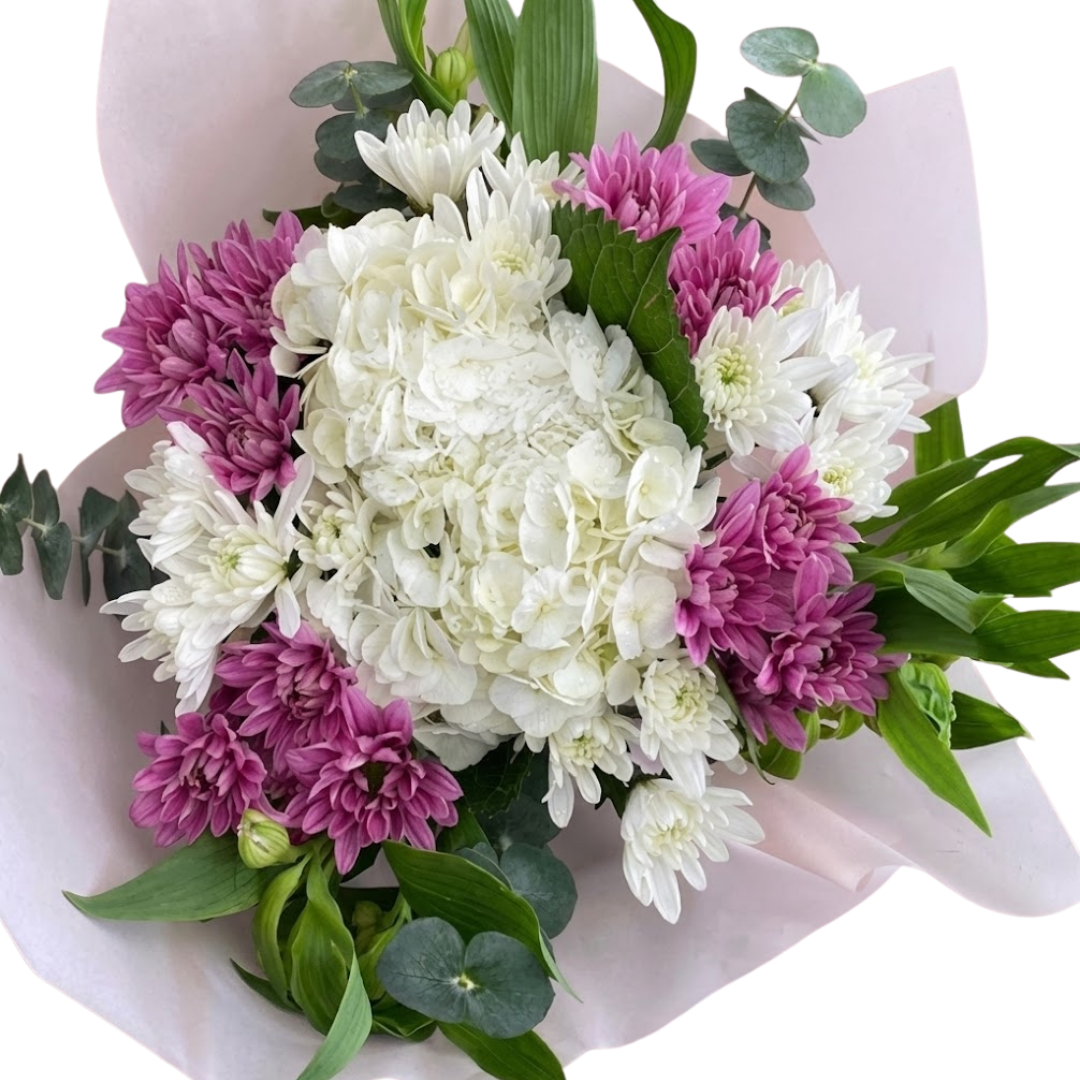 Images wh background (23)