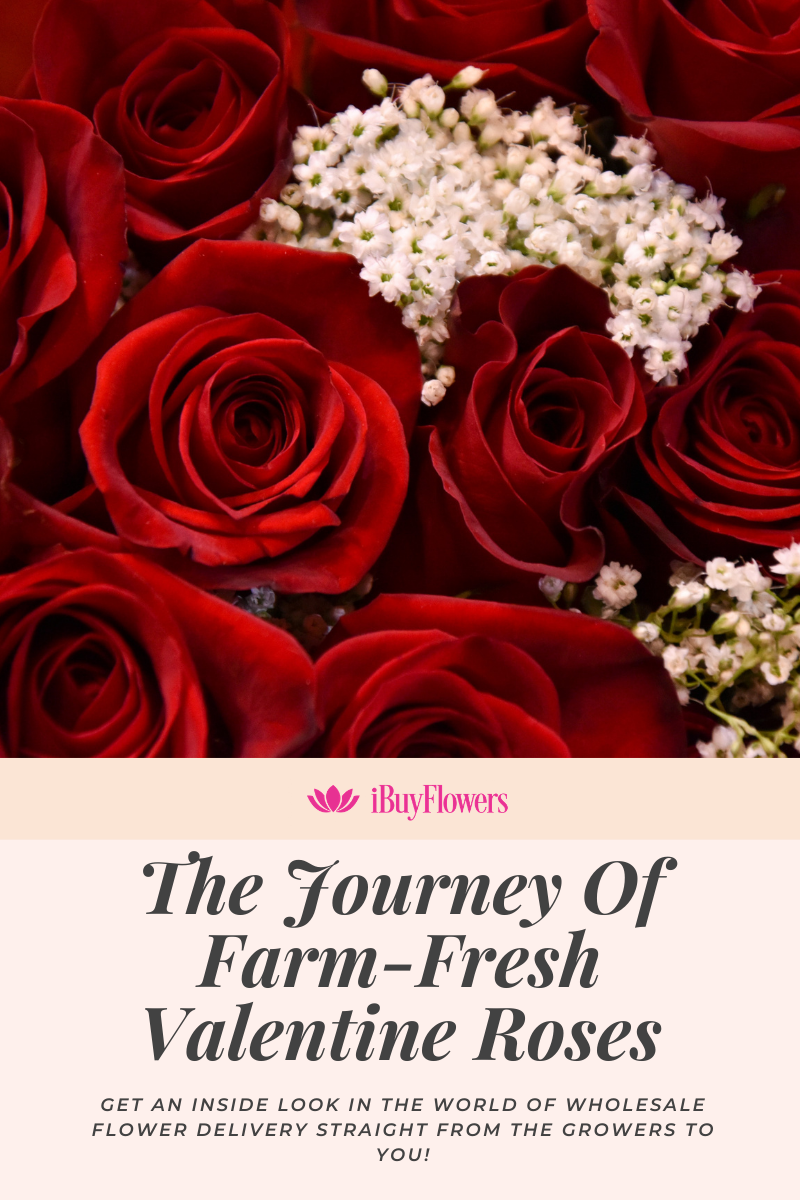 Blog banner
