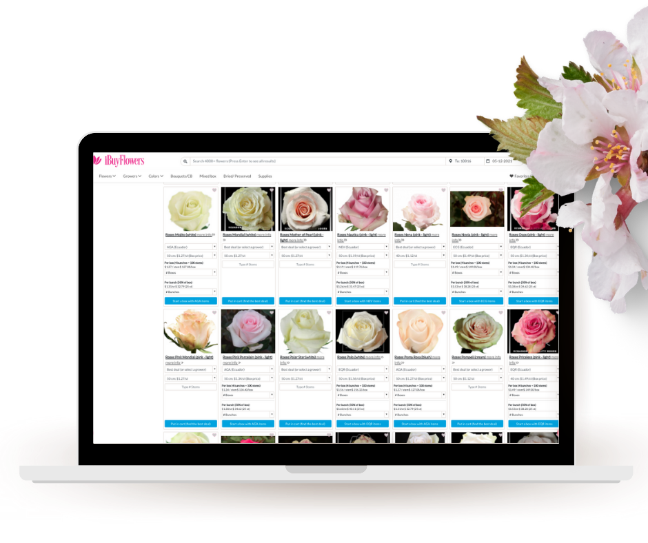 iBuyflowers marketplace bulk flowers 
