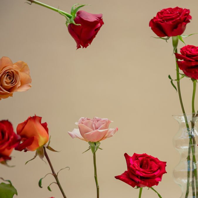 Rose_color_shades_blog