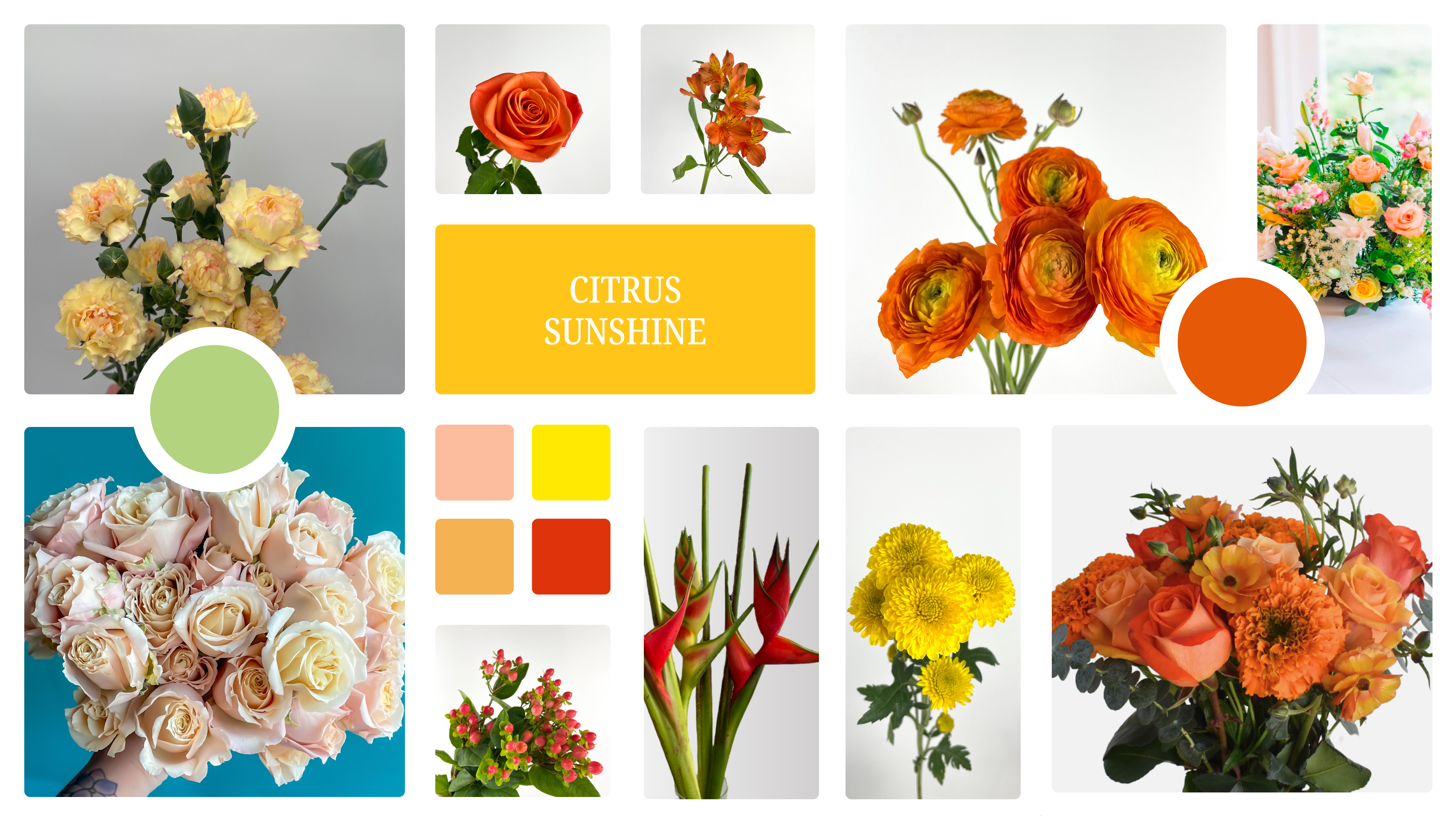 citrus sunshine