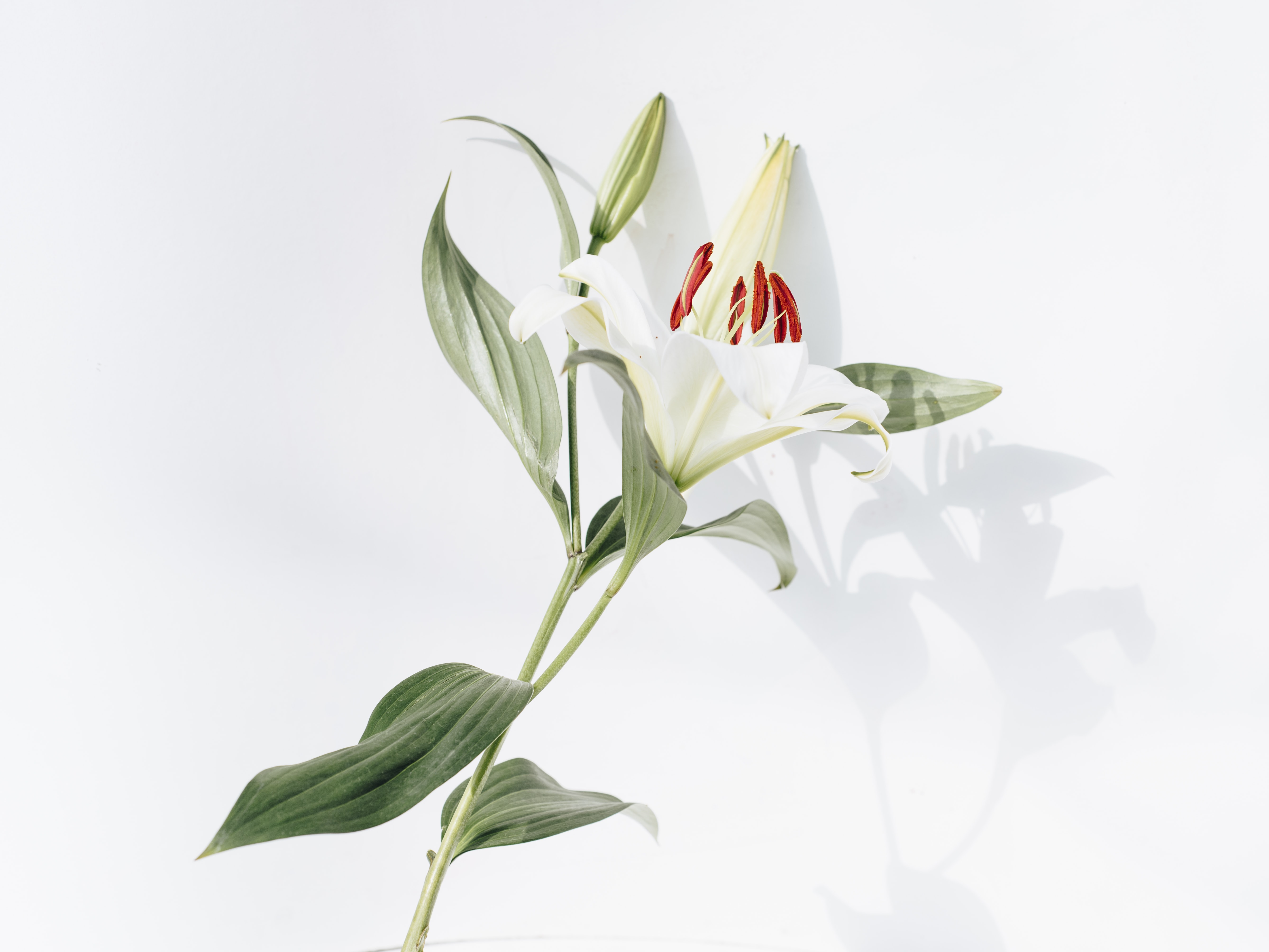Blog banner