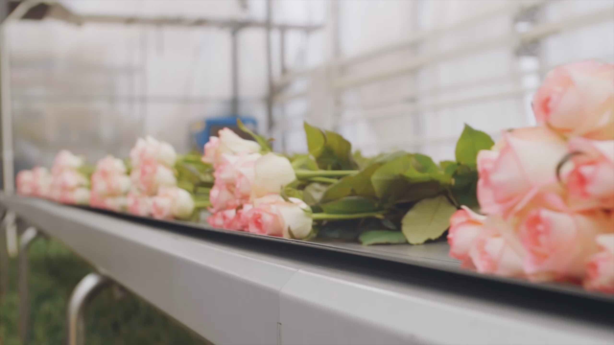 Blog banner