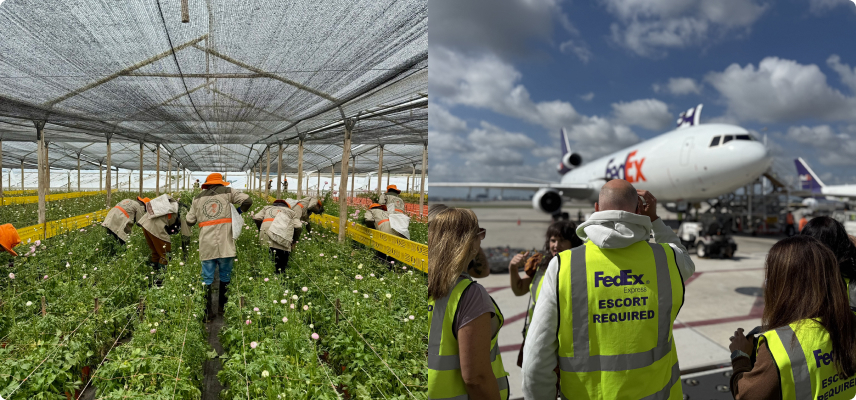 presskitlogobanner-1