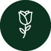 Rose icon (green)