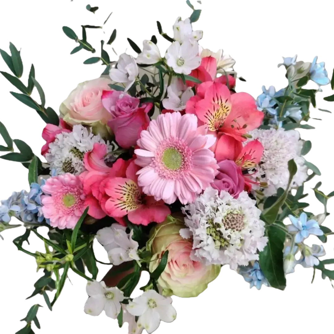 variety_e6b6a13e-2fd0-44bf-8ac0-3c38aa1a6283